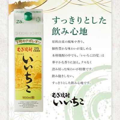 ふるさと納税 宇佐市 いいちこ パック 25度(1800ml×2本)【114003201