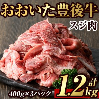 ふるさと納税 宇佐市 豊後牛 スジ肉 計1.2kg(400g×3個)[106400300][まるひで]