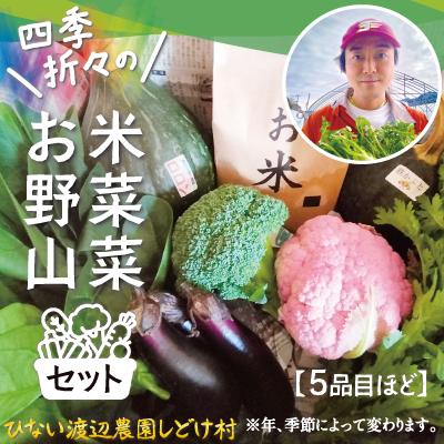 ふるさと納税 大館市 米野菜・山菜セット(5品目ほど) 115P3203