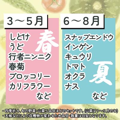 ふるさと納税 大館市 米野菜・山菜セット(5品目ほど) 115P3203の画像