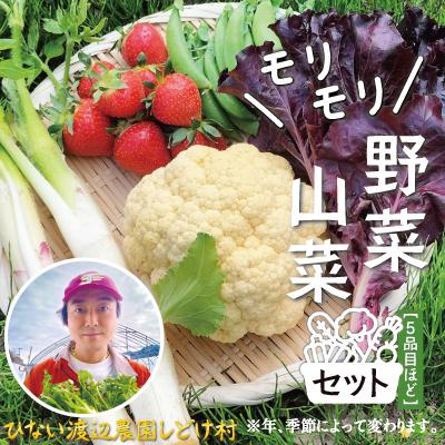 ふるさと納税 大館市 モリモリ野菜・山菜セット(5品目ほど) 90P125014