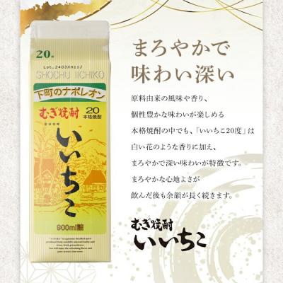 ふるさと納税 宇佐市 いいちこ 20度 パック(計2.7L・900ml×3本)【106101500】【酒のひろた】 |  | 01