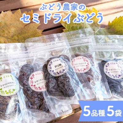 ふるさと納税 東御市 【秀果園】ぶどう農家のセミドライぶどう5品種5袋(各50g) | 