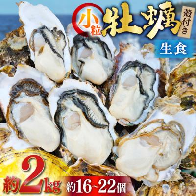 ふるさと納税 気仙沼市 [期間限定発送] 牡蠣 小粒 1〜1年半モノ 生食 殻付き牡蠣 約2kg 