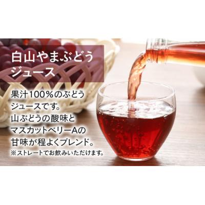 ふるさと納税 大野市 【白山ワイナリー】白山やまぶどう原液&ジュース