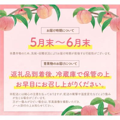 ふるさと納税 福智町 [2026年発送]福智町産 さくひめ (2kg)