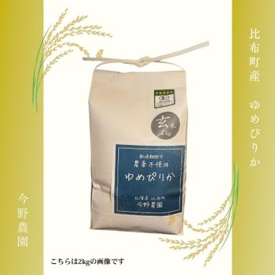 【R7年産】ゆめぴりか 10kg 玄米 ふるさと納税 比布町 令和7年産 今野農園 ゆめぴりか 玄米10kg【ピリカ