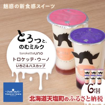 ふるさと納税 天塩町 トロケッテ・ウーノ いちごのソース&amp;ハスカップのソース 計6個(宇野牧場)