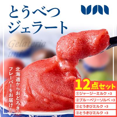 ふるさと納税 当別町 とうべつジェラート12点セット