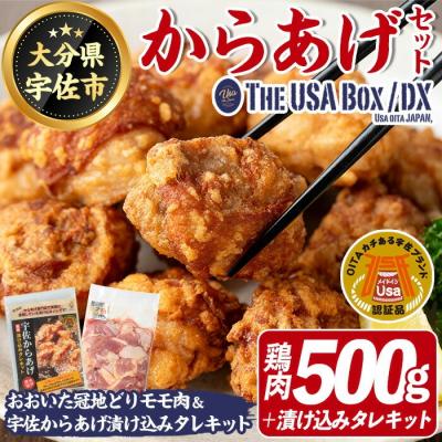 ふるさと納税 宇佐市 宇佐からあげセット(鶏もも肉500g 漬け込みタレキット)[114003600][地域商社USA]