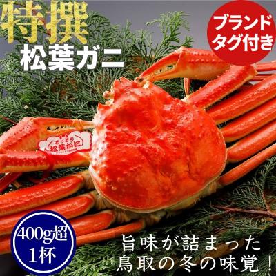 ふるさと納税 八頭町 [ボイル]特撰 松葉がに(タグ付き)400g超 お手頃サイズ 1杯