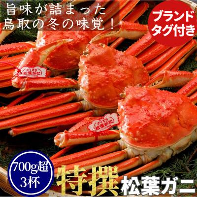 ふるさと納税 八頭町 [ボイル]特撰 松葉がに(タグ付き)700g超の大きいサイズ 特大3杯