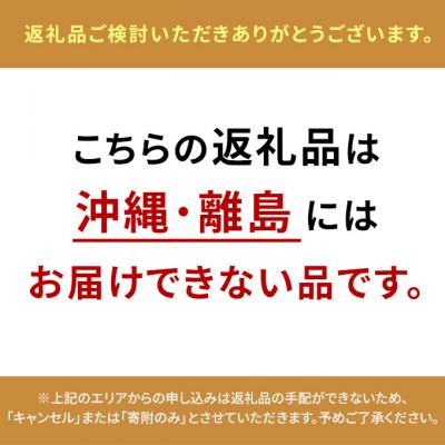 ふるさと納税 瀬戸内市 【2026年先行受付】  マイハート 2房 合計約1kg 岡山県産 [No.5735-2089]の画像