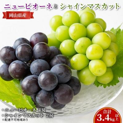 ふるさと納税 瀬戸内市 ニューピオーネ4房・シャインマスカット2房(合計3.4kg以上)岡山県産