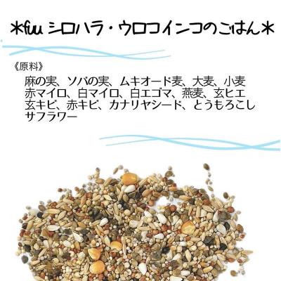 ふるさと納税 小牧市 【3ヶ月定期便】fuu シロハラインコ・ウロコインコのごはん(5kg)[145S59-T]