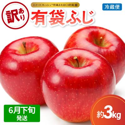 ふるさと納税 五所川原市 [2026年6月下旬発送][訳あり]りんご3kg有袋ふじ スマフレTM貯蔵またはCA貯蔵・クール便