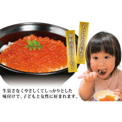 ふるさと納税 気仙沼市 いくら 鮭卵 醤油漬 200g 鮭いくら [かわむら家 20565085] 味付いくらの画像