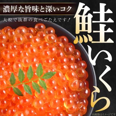 ふるさと納税 気仙沼市 【14営業日以内に発送】いくら 鮭卵 醤油漬 200g 鮭いくら [20565085] 味付いくら |  | 02