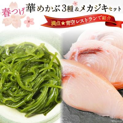 ふるさと納税 気仙沼市 春つげ華めかぶ 3種 メカジキ セット 