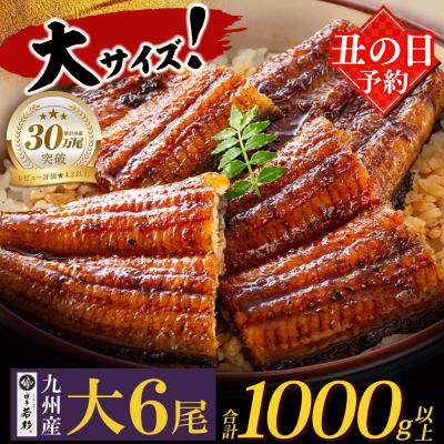 ふるさと納税 福智町 [丑の日7/26までにお届け] 国産うなぎ蒲焼大6尾(計1000g以上)鰻蒲焼用タレ・山椒付 丑の日