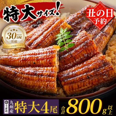 ふるさと納税 福智町 [丑の日7/26までにお届け]国産うなぎ蒲焼特大4尾(計800g以上)タレ・山椒付 丑の日予約
