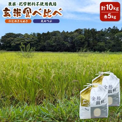 ふるさと納税 南相馬市 玄米2品種食べ比べ10kg「にじのきらめき」「天のつぶ」各5kg[70017]
