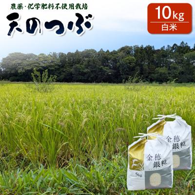 ふるさと納税 南相馬市 [先行予約]天のつぶ 白米 10kg 有機的栽培 令和7年産 精米 オリジナル品種