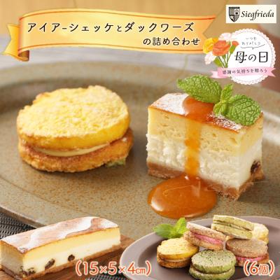 ふるさと納税 下呂市 [母の日までにお届け 2026年5月7日〜9日発送]アイアーシェッケとダックワーズ3種[32-2m]