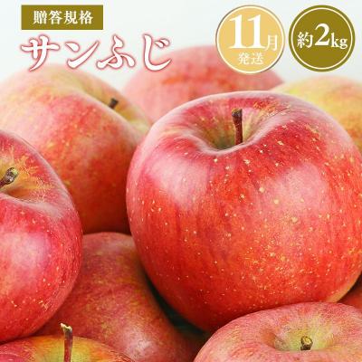 ふるさと納税 平川市 [令和8年産先行受付]11月発送 贈答規格サンふじ約2kg[青森県平川市産・青森りんご]