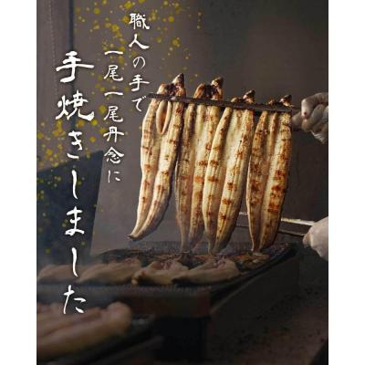 ふるさと納税 大崎町 鹿児島県大隅産　香ばし刻みうなぎ【常温保存可】　2袋 |  | 01