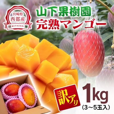 ふるさと納税 西都市 山下果樹園完熟マンゴー1kg(ご家庭用・訳あり)宮崎県産完熟マンゴー西都市産[先行受付][2699]