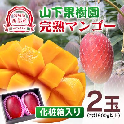 ふるさと納税 西都市 山下果樹園完熟マンゴー2玉900g(贈答用)宮崎県産完熟マンゴー/西都市産[先行受付][2700]