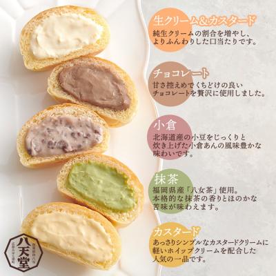 ふるさと納税 三原市 【八天堂】とろけるくりーむパン 10個詰め合わせ (5種×各2個) [015-014] |  | 01