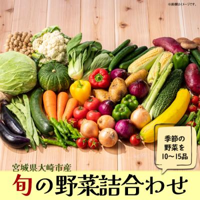 ふるさと納税 大崎市 [宮城県大崎市産]旬の野菜詰合せセット 10〜15品 旬 厳選 産地直送 セット お楽しみ おまかせ