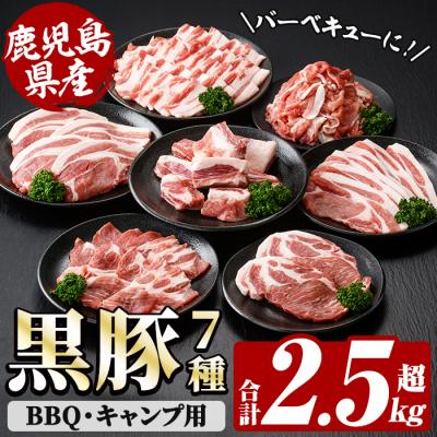 ふるさと納税 いちき串木野市 [家計応援]鹿児島県産!恵味の黒豚 BBQ・キャンプ用セット(7種・合計2.5kg超!)