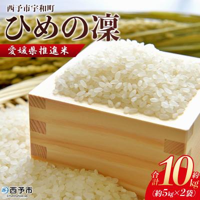 ふるさと納税 西予市 愛媛県推進米 ひめの凛 10kg(5kg×2)