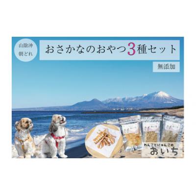 ふるさと納税 米子市 鳥取県米子市!山陰沖朝どれ鮮魚で作るわんことにゃんこのための贅沢3品詰め合わせ!