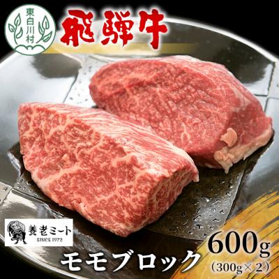 ふるさと納税 東白川村 飛騨牛 モモブロック 600g 300g×2 牛肉 ローストビーフ