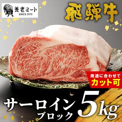 ふるさと納税 東白川村 お好きなカット可能! 飛騨牛 サーロインブロック 5kg