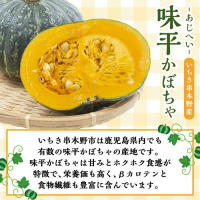 ふるさと納税 いちき串木野市 <訳あり>ご自宅用!味平かぼちゃのマドレーヌ12個入り! |  | 03
