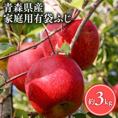 ふるさと納税 平川市 [5月〜6月発送]家庭用有袋ふじ3kg[丸勝木村商店・青森りんご]