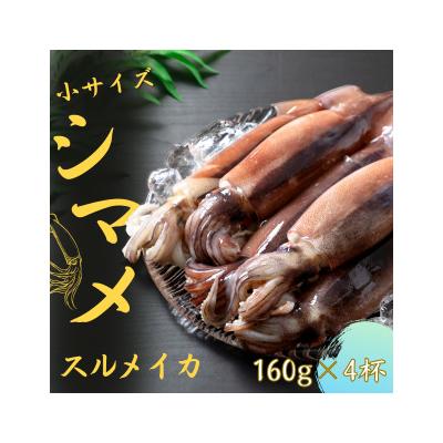 ふるさと納税 海士町 [朝どれシマメ 小サイズ丸ごと4杯セット]160g×4杯