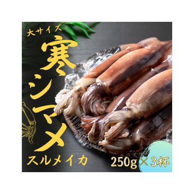 ふるさと納税 海士町 [朝どれ寒シマメ 丸ごと3杯セット]250g×3杯
