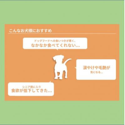 ふるさと納税 薩摩川内市 【日本初食品認可ペットフード】Petcook さつま純然鶏とたっぷりかぼちゃ チキン DSR-622の画像