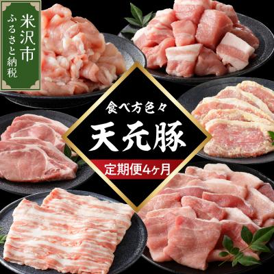 ふるさと納税 米沢市 [4ヶ月定期便] 天元豚セット 豚肉
