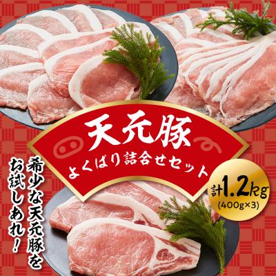 ふるさと納税 米沢市 天元豚よくばり詰合せセット 計1.2kg