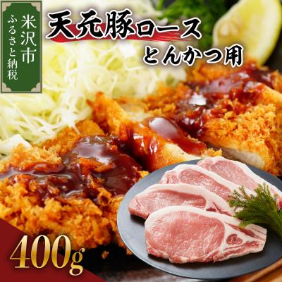 ふるさと納税 米沢市 天元豚 ロースとんかつ用 400g