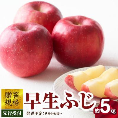 ふるさと納税 大江町 [先行受付]贈答規格 早生ふじ約5kg[2026年9月中旬頃〜発送予定] 015-054