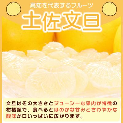ふるさと納税 香南市 [2月より発送開始]文旦10kg家庭用 訳あり 大小混合(L〜3L) 約18〜28玉 yk-0070