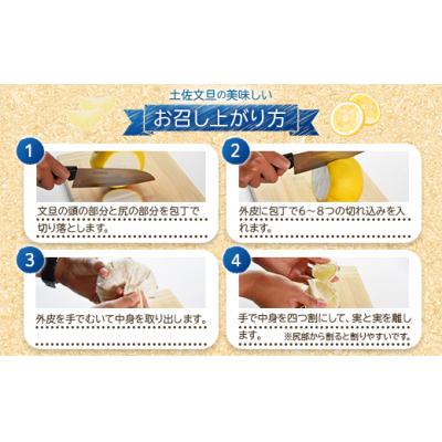 ふるさと納税 香南市 【訳あり】文旦 10kg 家庭用 10キロ 土佐文旦 柑橘系 果物 柑橘類 フルーツ yk-0070 |  | 02